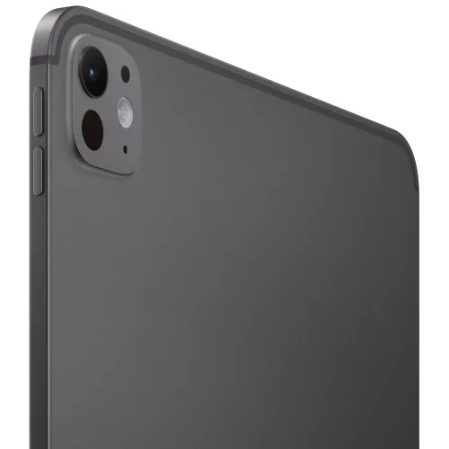 Apple iPad Pro 11 M4 W-Fi (2024) 256Gb